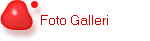 Foto Galleri